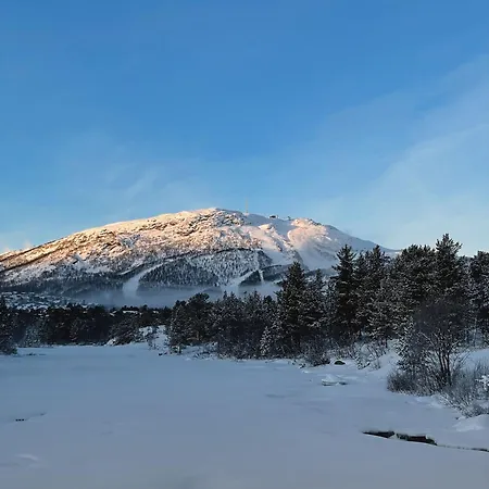 Hovdestøylen Hovden (Aust-Agder)