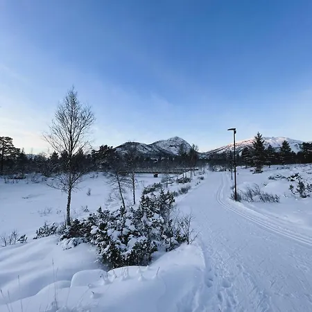 Hovdestoylen Appartement *