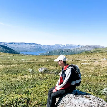 Hovdestøylen *